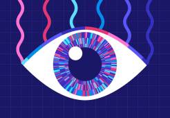 eyeball